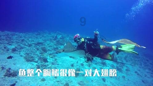 一套珍品