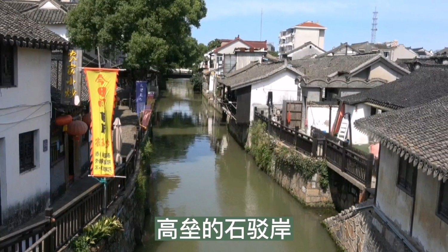 春雨直播app